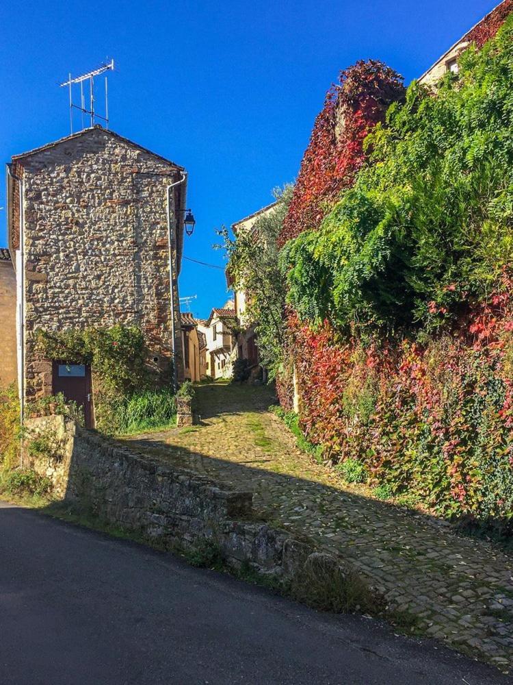 Rue Du Barri Lägenhet Cordes Sur Ciel Exteriör bild